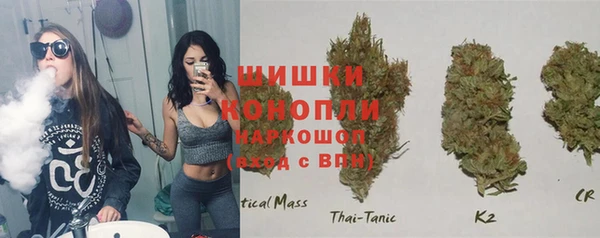 прущие крисы Пересвет