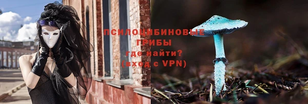 apvp Пестово