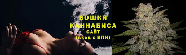 прущие крисы Пересвет