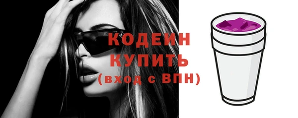 прущие крисы Пересвет