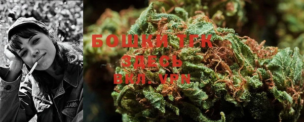 прущие крисы Пересвет