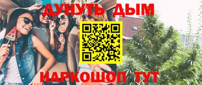 прущие грибы Абакан