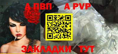 прущие грибы Абакан