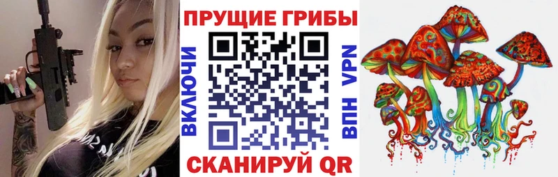 Псилоцибиновые грибы GOLDEN TEACHER  Асино 