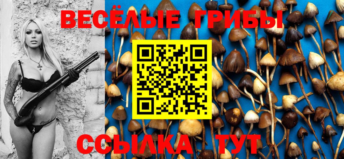 Псилоцибиновые грибы GOLDEN TEACHER Асино