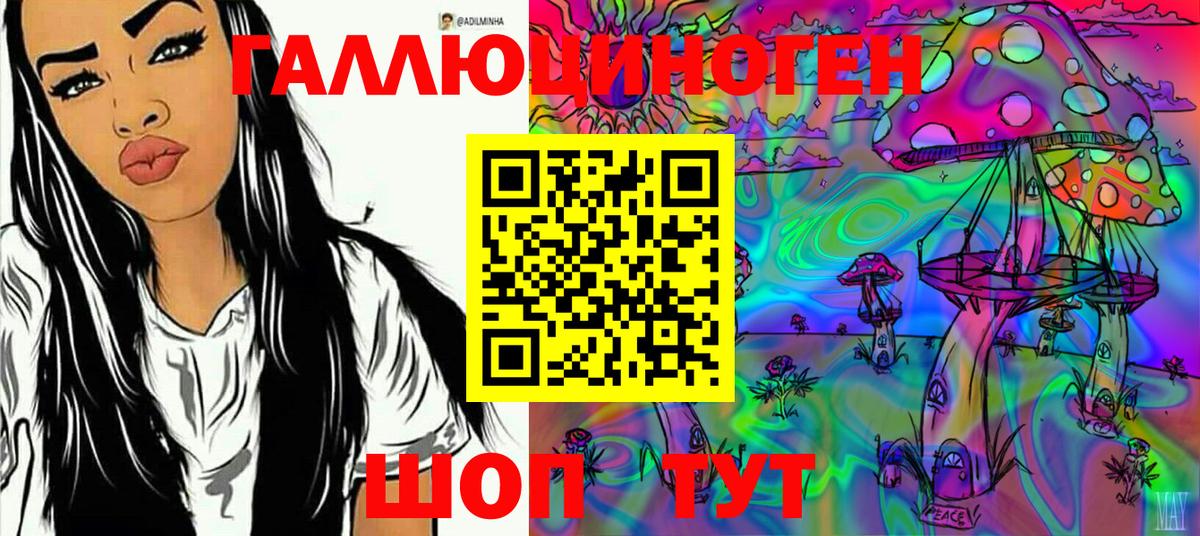Асино  Галлюциногенные грибы Psilocybine cubensis  Вход с VPN 