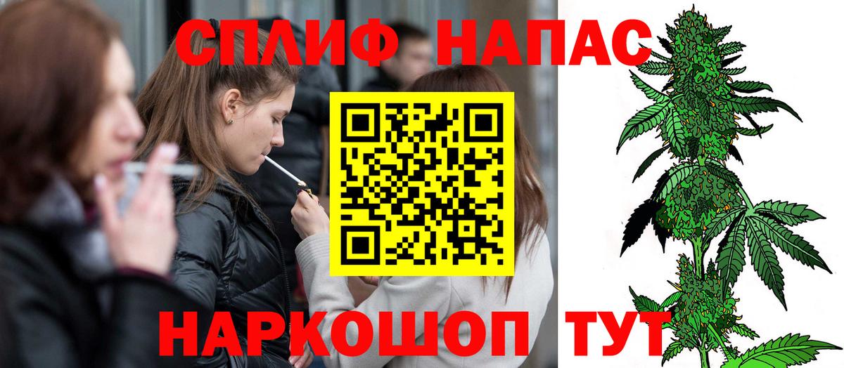 Канабис индика Асино